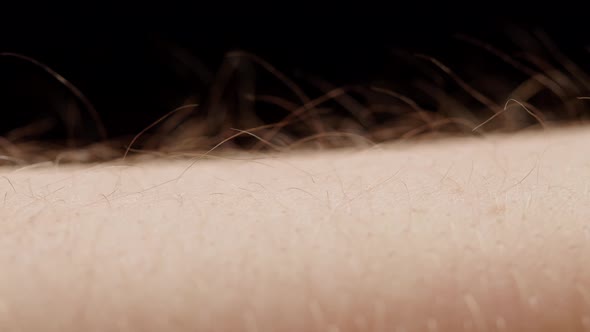 Hand Surface with Hair Closeup