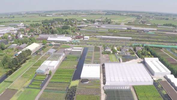 Drone flying high over plant nursery garden