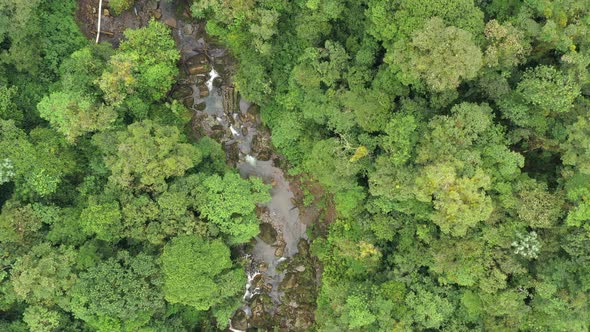 Aerial view of a tropical rainforest following a stream in the middle with large tubes