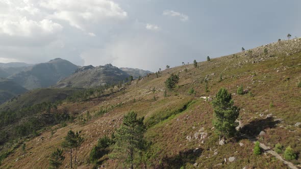 Aerial forward view over trees in National Park Geres. Portugal. Real time