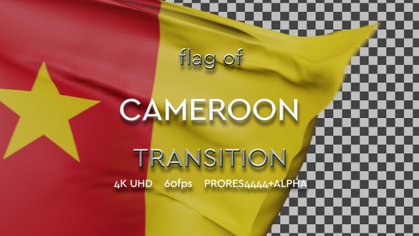 Flag of Cameroon Transition | UHD | 60fps