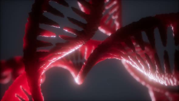 Loop Double Helical Structure of Dna Strand Close-up Animation