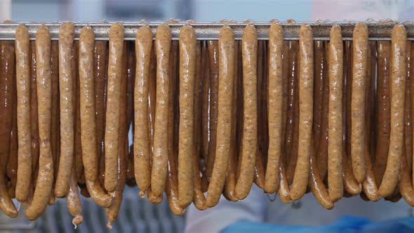 Fresh Sausages Are Placed On Racks In A Meat Processing Factory