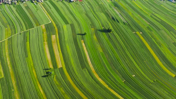 Aerial View of Decorative Ornaments of Diverse Green Fields and Houses Arranged in a Line Along the