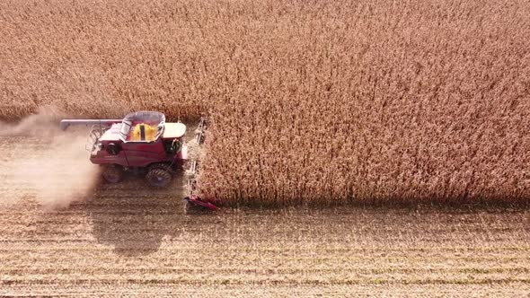 Combine Harvester At Work Harvesting A Field Of Corn In Southeast Michigan Near Carlton Michigan - a