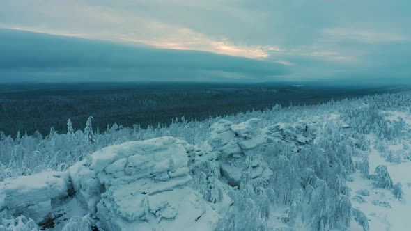 Cinematic Aerial View of a Cold Snowcovered Forest at the Top of a Hill