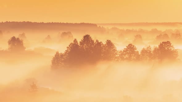 Misty Landscape During Sunrise Fog