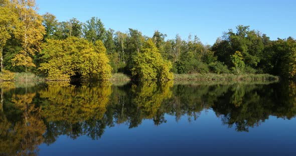 The pond Sainte Perine, Forest of Compiegne, Picardy, France.