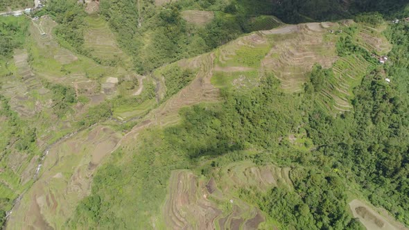 Rice Terraces Mountains