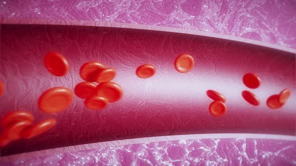 Red blood cells in an artery