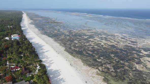 Shore of Zanzibar Island Tanzania at Low Tide