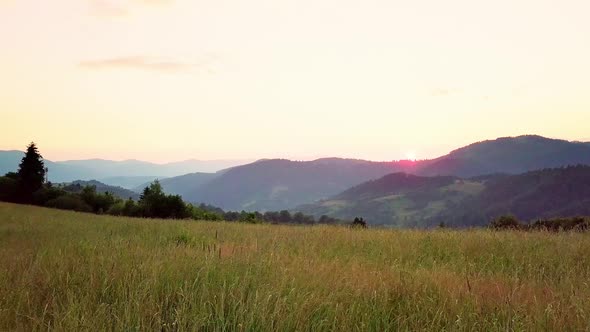 Aerial View of the Endless Lush Pastures of the Carpathian Expanses and Agricultural Land