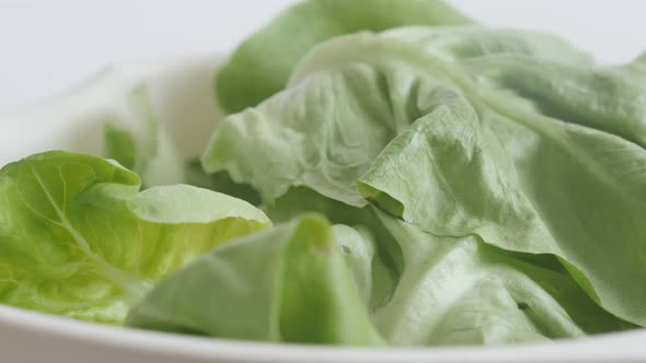 Leaf vegetable lettuce on pile slow tilt 4K 2160p 30fps UltraHD footage - Lactuca sativa salad close