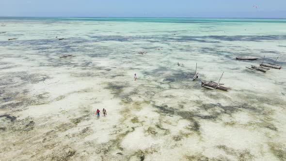 Zanzibar Tanzania  Low Tide in the Ocean Near the Shore