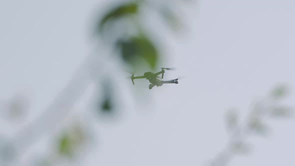 Drone And Tree Branches alt