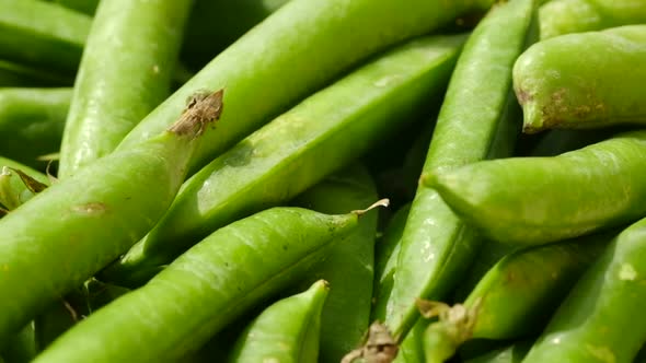 Fresh Green Pods or Peas Rotating