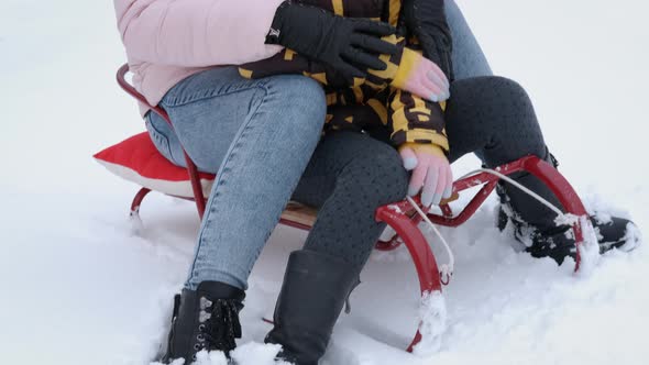 Sledging in Winter Forest