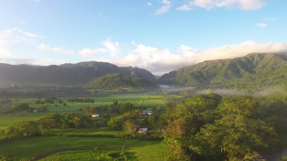 Jungle Valley Sunrise Aerial Shot Through Fog Mountain Reveal