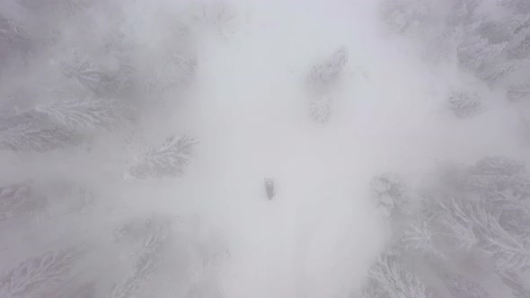 Aerial View of a Snowmobile That Rides in the Middle of a Fabulous Snowy Forest