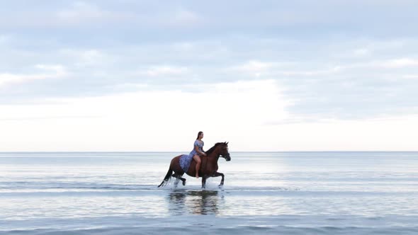 A beautiful girl with long hair in a blue dress riding a horse through the water during the evening,