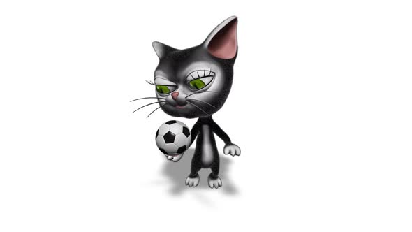 3D Kitty Cat Show Football  Looped on White alt