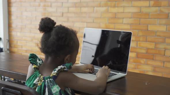 Young kid girl, Black African baby student woman person learning, studying homework online