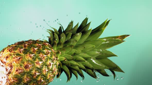 Flying of Pineapple in Turquoise Blue Background in Slow Motion