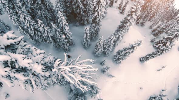 Drone Zooming To Man Hiking In Deep Snow Carrying Snowboard