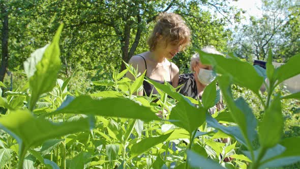 Adult Granddaughter Helps Elderly Grandmother in Protective Mask Walk Through Green Garden to