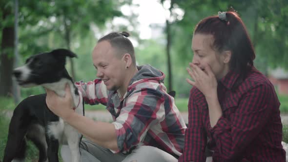 Side View of Smiling Man Sitting with Woman and Dogs in Summer Park and Talking