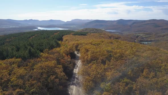 Aerial View of Car Driving Through the Forest in Mountains. Driving on Beautiful Mountain Road