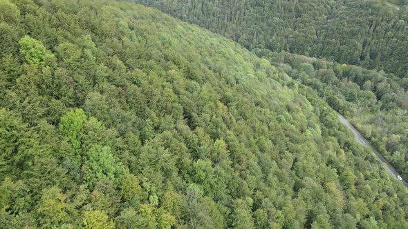 Forest in the Mountains. Aerial View of the Carpathian Mountains in Autumn. Ukraine