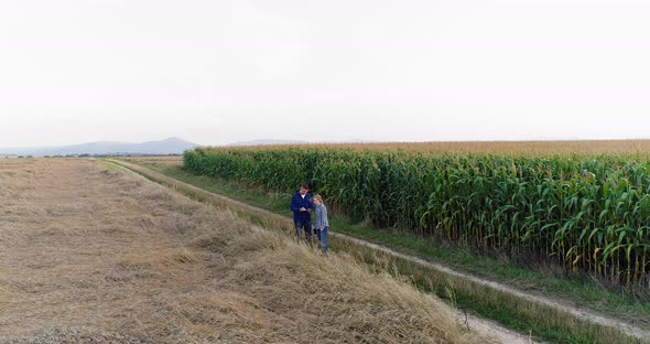 Young Farmers Discussing At Maize Field Agriculture