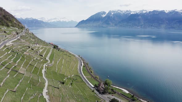 High drone footage flyover of vineyards on the shores of a lake in Switzerland with mountains in the