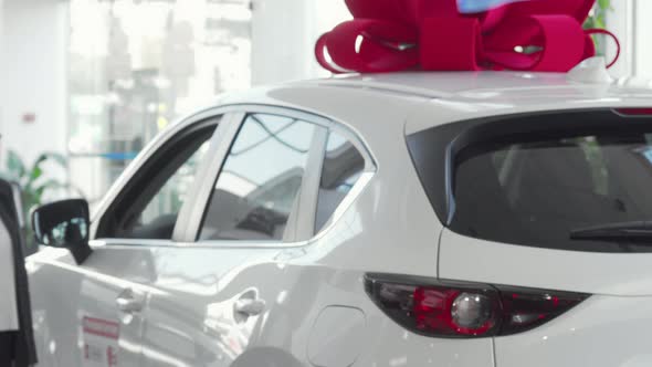 Beautiful Woman Smiling To the Camera While Choosing New Automobile