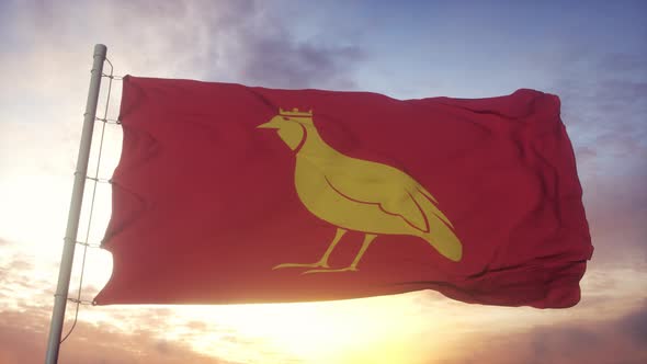 Aunis Flag France Waving in the Wind Sky and Sun Background