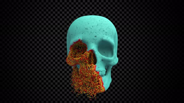 Skull Decay Overlay