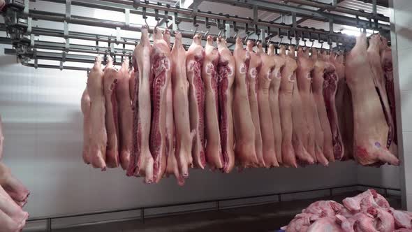 Raw Meat at Slaughterhouse Storage