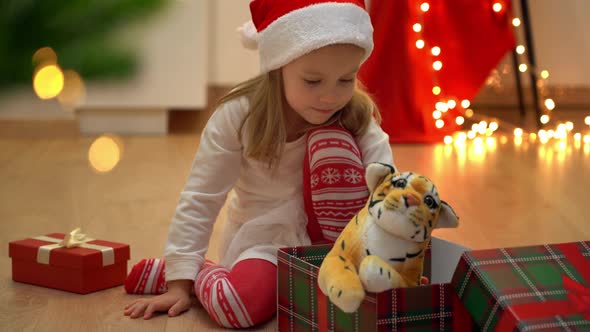Girl Sits with Open Box and Plays Toy Tiger Next to Christmas Tree