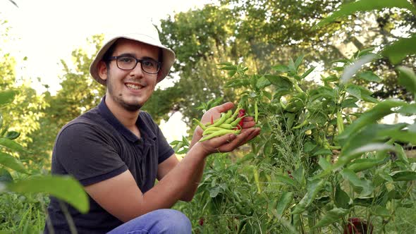 Asian farmers practice modern agriculture, growing organic peppers on roofs in urban buildings.