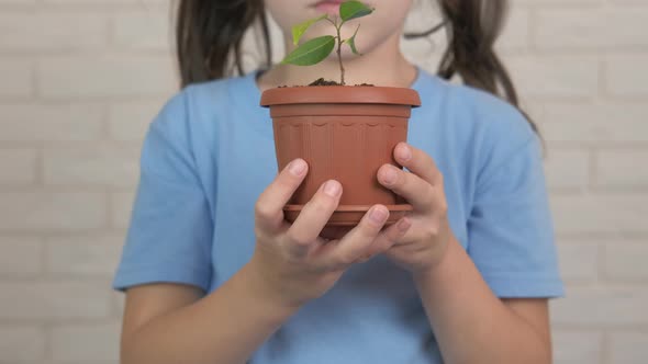 Child Hold a Plant in Pot