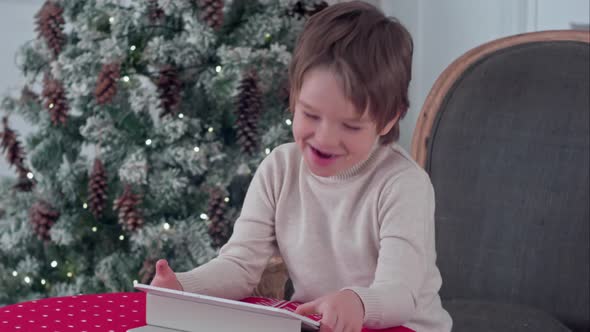 Smiling Kid Boy Sitting on a Chair and Playing with Tablet During Christmas Time