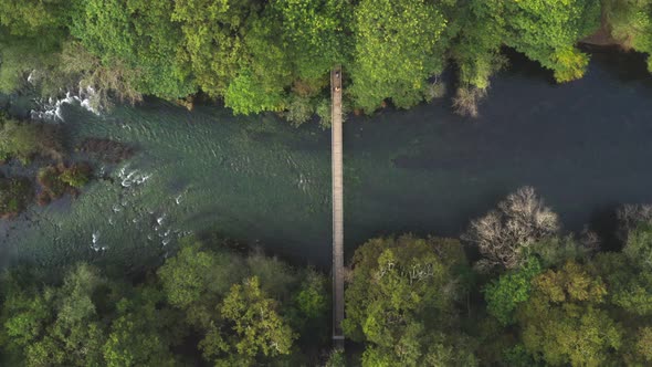Drone top aerial panoramic view above people passing on a bridge in a wild tree nature landscape