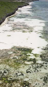 Vertical Video of Low Tide in the Ocean Near the Coast of Zanzibar Tanzania