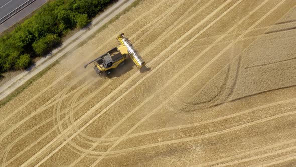 Top down view of Harvester machine working in wheat field 