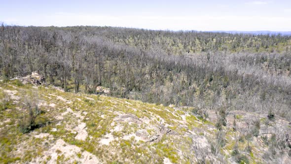 Drone aerial footage of forest regeneration after bushfires in regional Australia