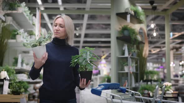 Attractive Business Woman Chooses Plastic Flowers for Her Interior