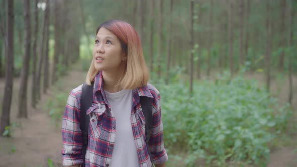 Hiker Asian backpacker woman adventure feeling freedom walking in forest holidays near lots of tree.