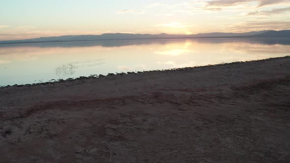 Aerial shot of flying on the beach near lake, Salton Sea, birds fly over the water. Sunset