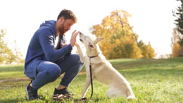 Man Walks with His Beloved White Dog in the Woods on an Autumn Day and Gives It a Treat for